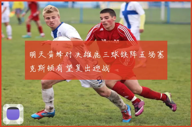明天黄蜂对决雄鹿三球缺阵五场塞克斯顿有望复出迎战