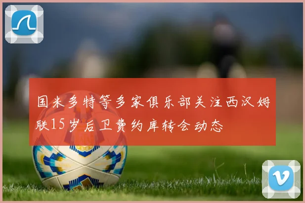 国米多特等多家俱乐部关注西汉姆联15岁后卫费约库转会动态